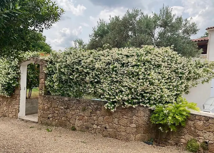 Villa Charmante A Villecroze Avec Piscine Privee